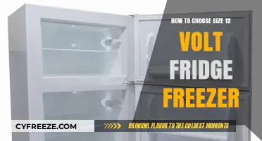 Compact Cooling: Selecting the Perfect 12 Volt Fridge Freezer