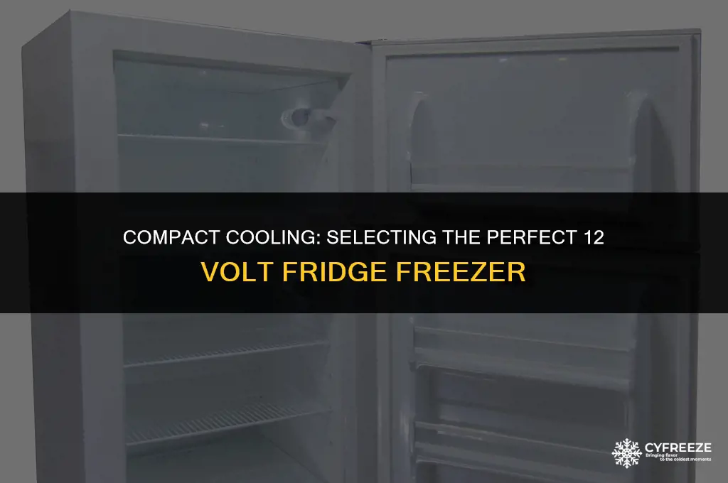 how to choose size 12 volt fridge freezer
