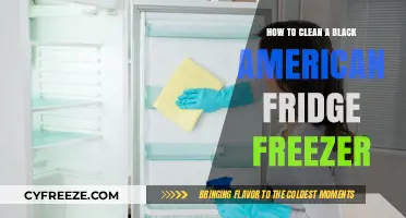 Effortless Cleaning: Your Guide to a Spotless Black American Fridge Freezer