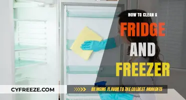 Fresh Start: The Ultimate Guide to Cleaning Your Fridge and Freezer