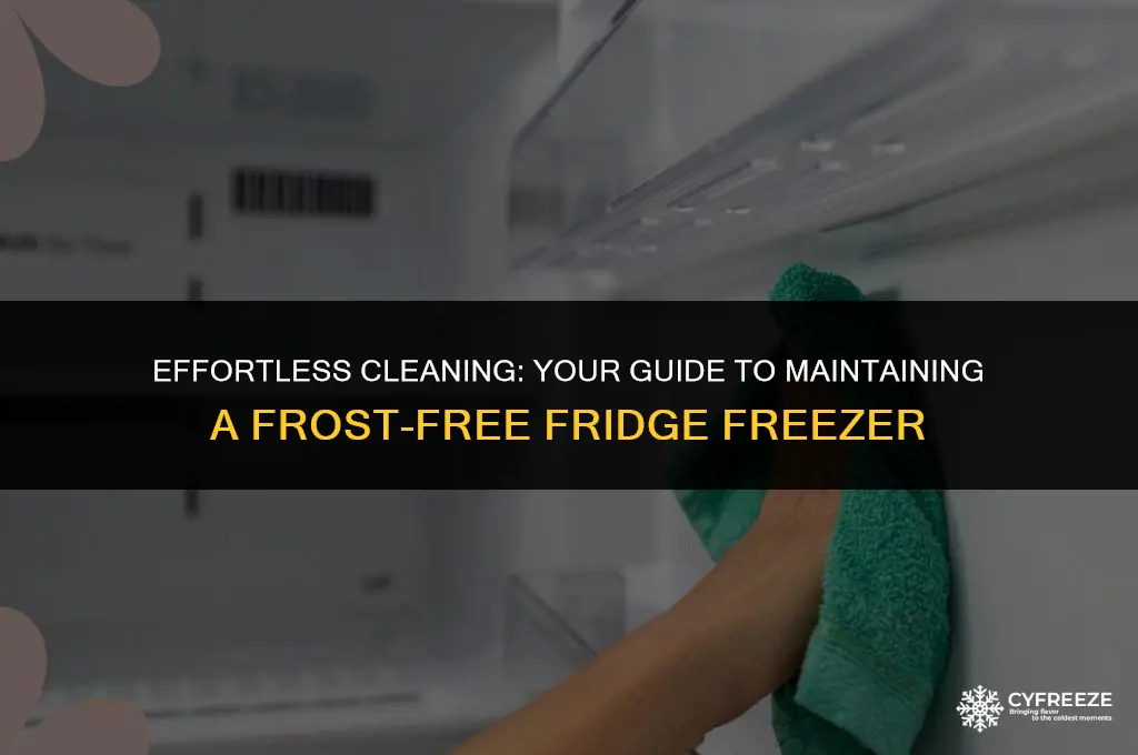 how to clean a frost free fridge freezer