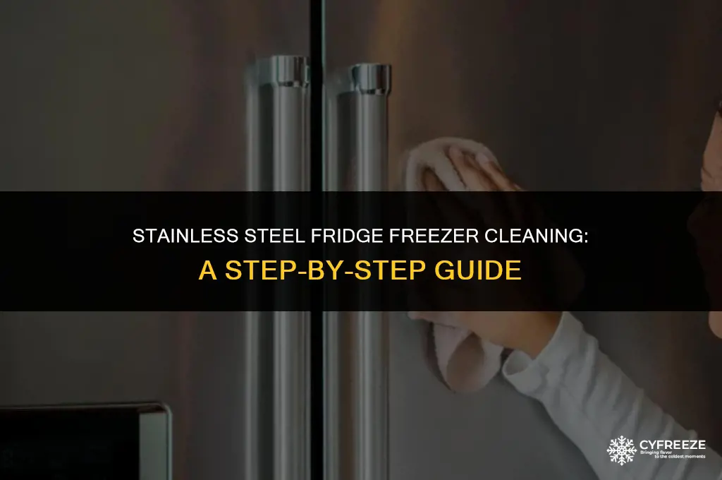 how to clean a stainless steel fridge freezer