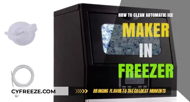 Effortless Maintenance: Cleaning Your Freezer's Automatic Ice Maker