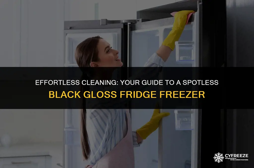 how to clean black gloss fridge freezer