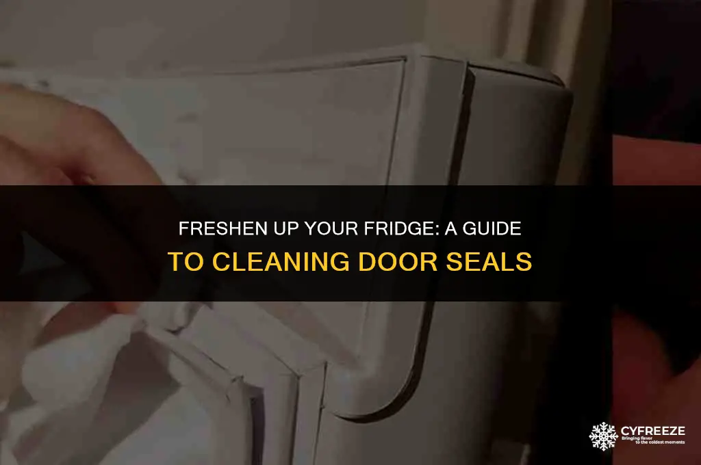 how to clean fridge and freezer door seals