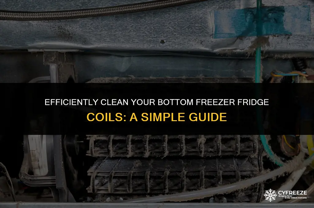 how to clean fridge coils with bottom freezer