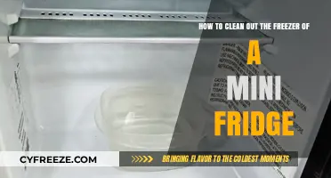 Efficiently Defrost and Clean Your Mini Fridge Freezer: A Simple Guide