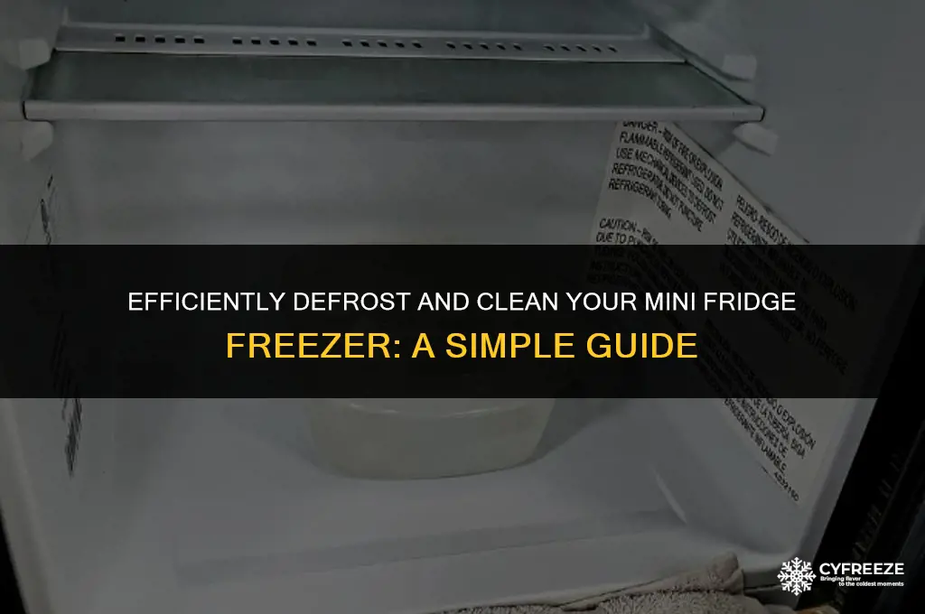 how to clean out the freezer of a mini fridge