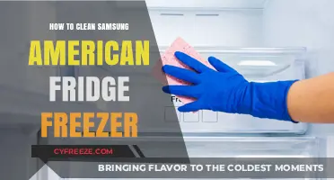 Effortless Cleaning: Samsung American Fridge Freezer Maintenance Guide