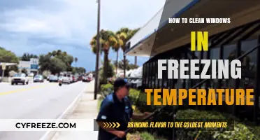 Winter Window Cleaning: Effective Techniques for Freezing Temperatures