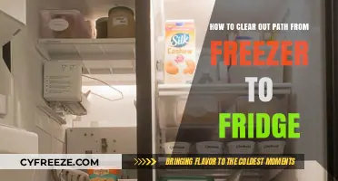 Clearing the Path: A Guide to Organizing Your Freezer and Fridge