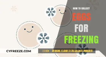 Egg-cellent Preservation: A Step-by-Step Guide to Freezing Eggs