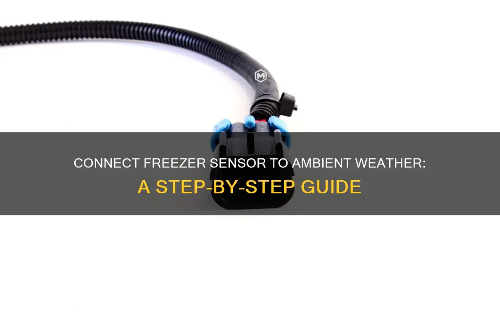 how to connect freezer temperature sensor to ambient weather