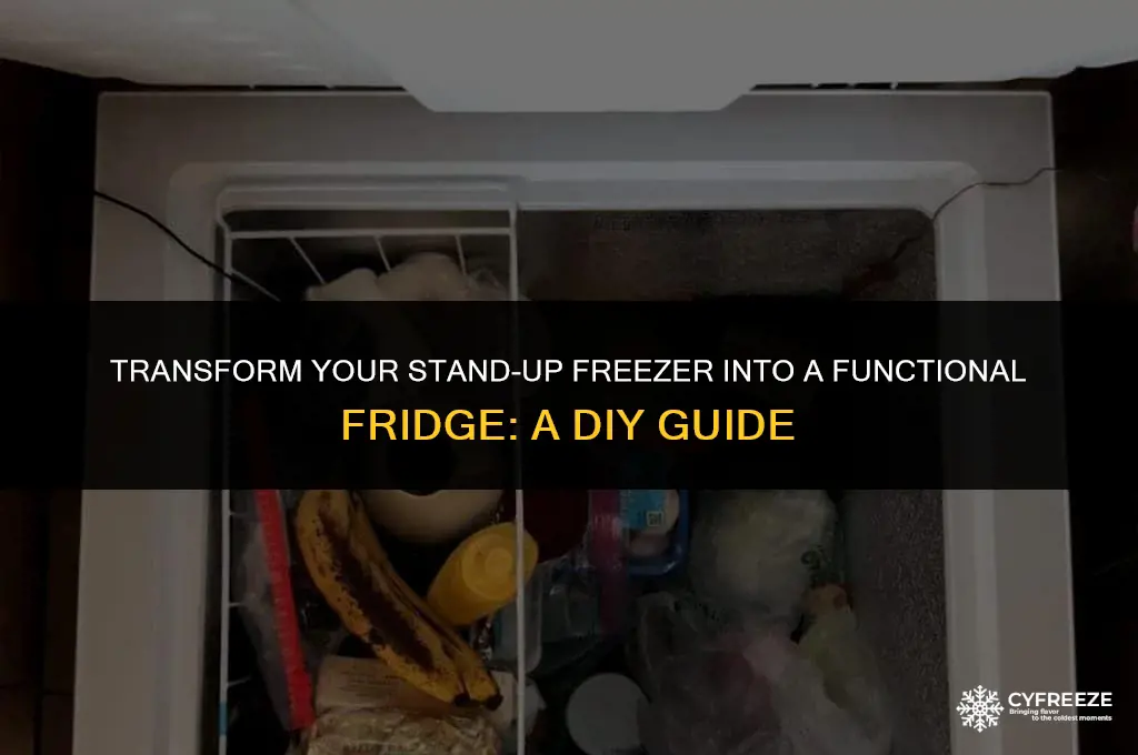 how to convert a stand up freezer to a fridge