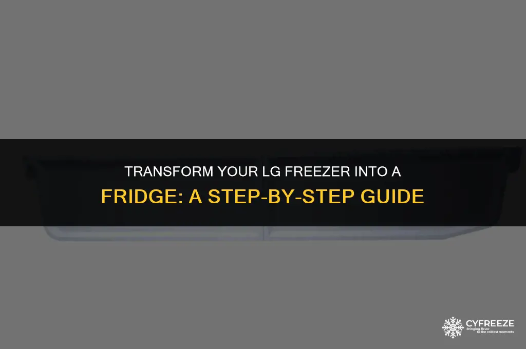 how to convert lg freezer to fridge