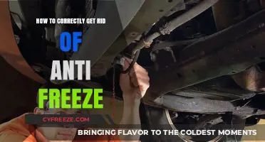 Safe and Eco-Friendly Ways to Dispose of Antifreeze Properly