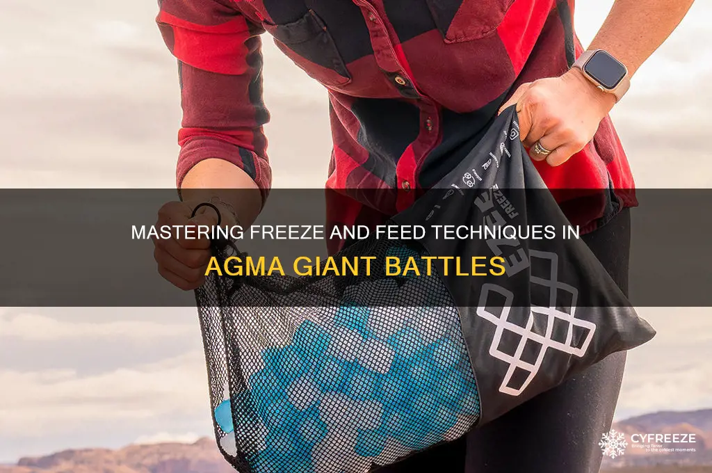 how to correctly use freeze and feed in agma giant