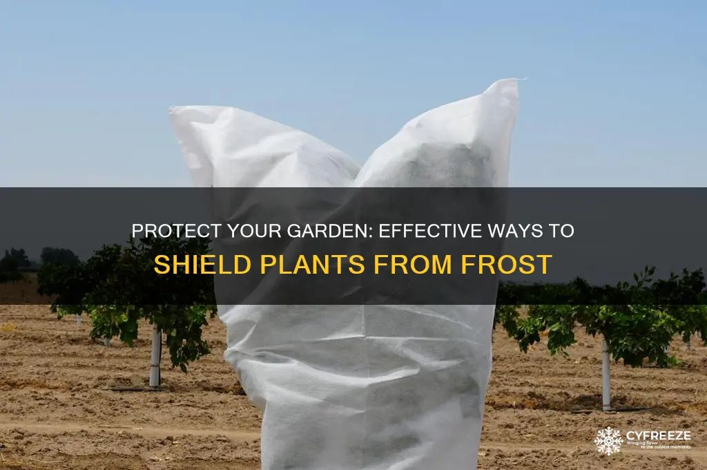 how to cover plants from freezing temperatures