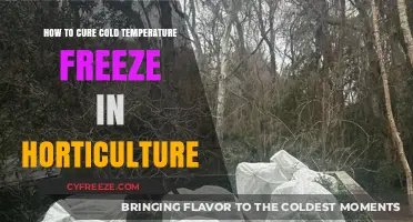 Effective Strategies to Protect Plants from Cold Temperature Freeze Damage
