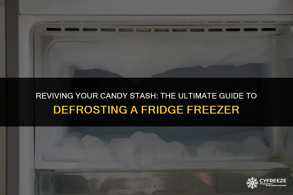how to defrost a candy fridge freezer