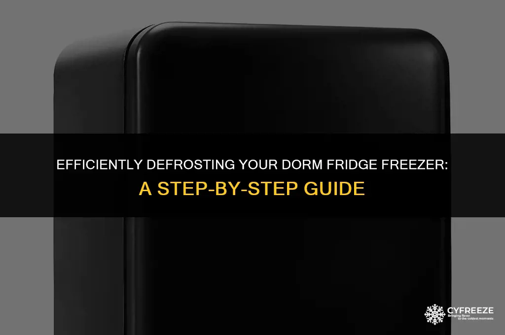 how to defrost a dorm fridge freezer
