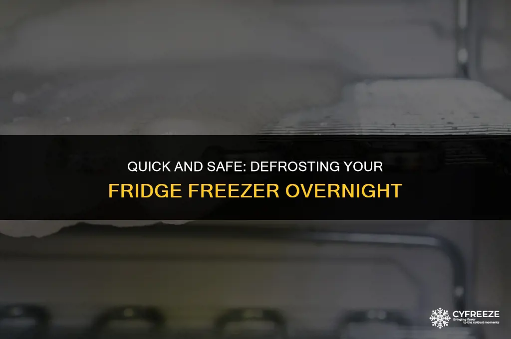 how to defrost a fridge freezer overnight
