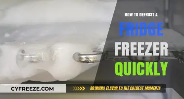 Rapid Thaw: The Ultimate Guide to Defrosting Your Fridge Freezer
