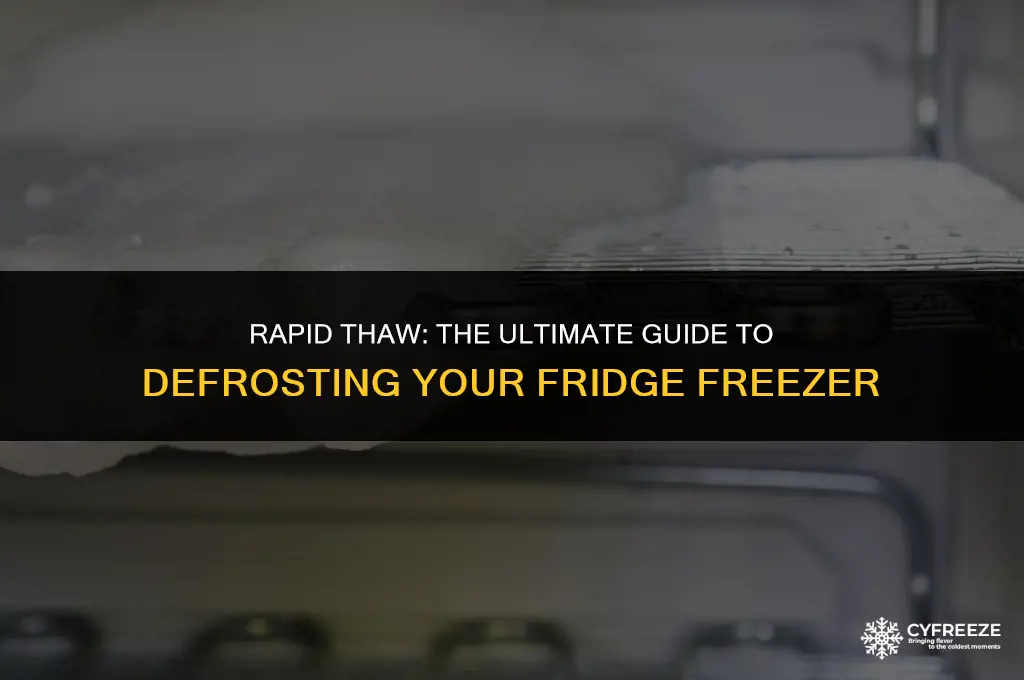 how to defrost a fridge freezer quickly