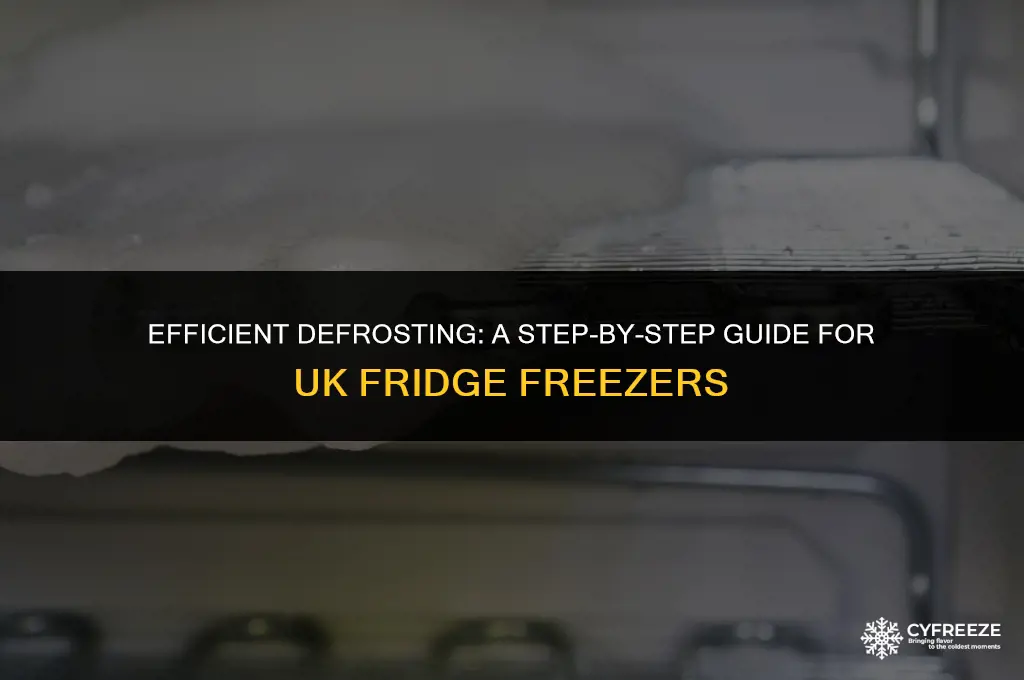 how to defrost a fridge freezer uk