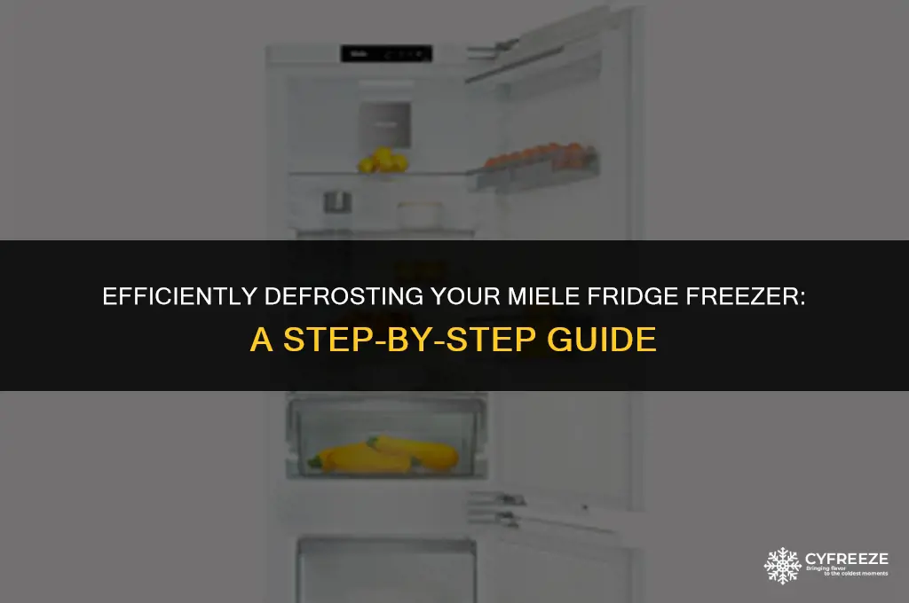 how to defrost a miele fridge freezer