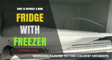Efficiently Defrosting Your Mini Fridge with Freezer: A Step-by-Step Guide
