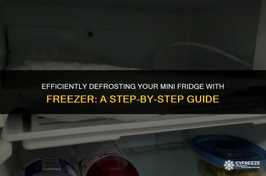how to defrost a mini fridge with freezer