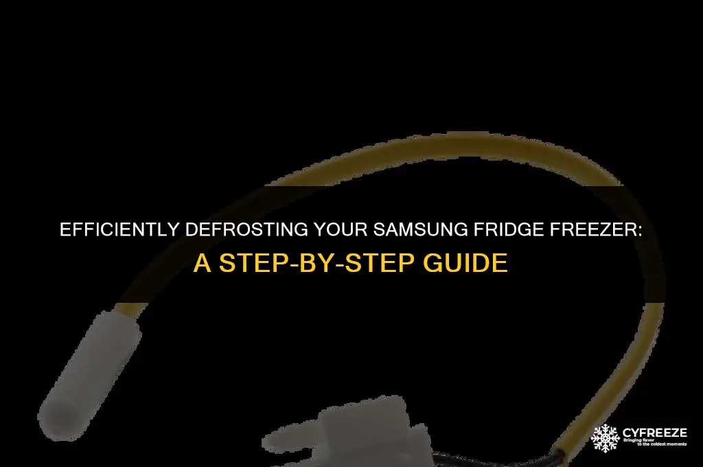how to defrost a samsung fridge freezer