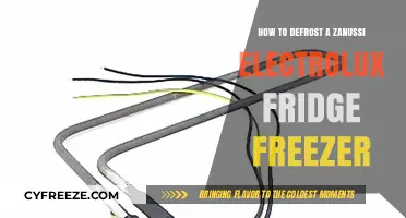Efficiently Defrosting Your Zanussi Electrolux Fridge Freezer: A Guide