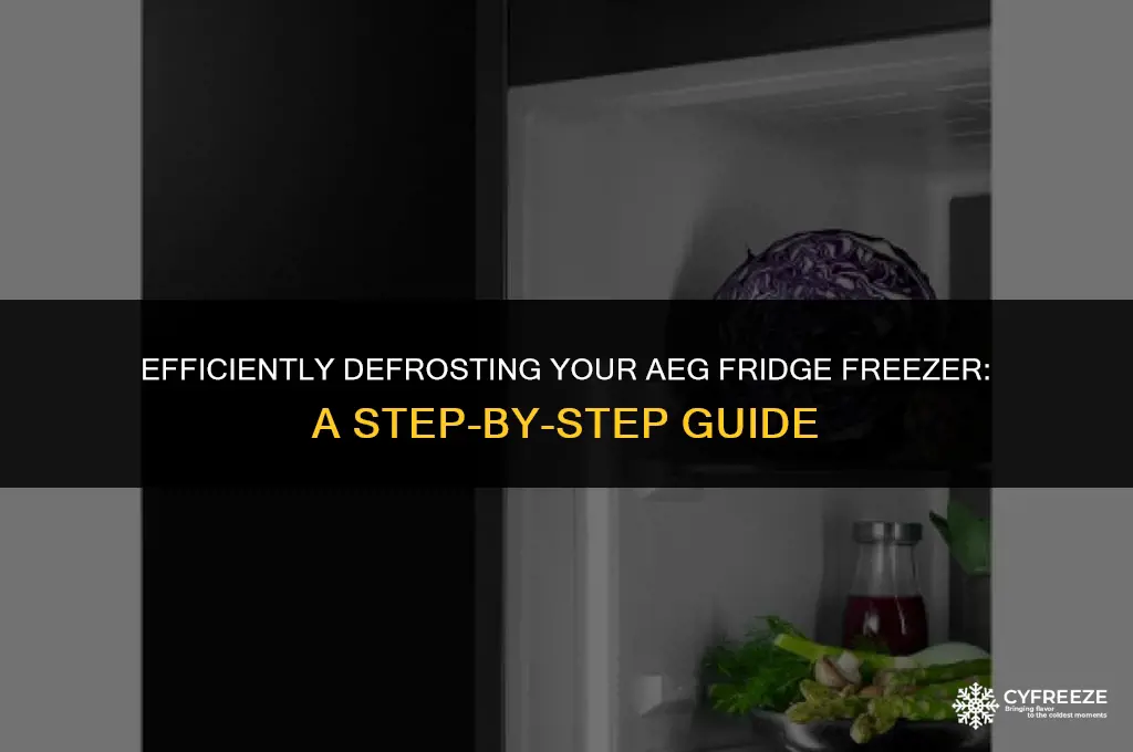 how to defrost aeg fridge freezer