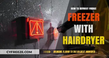 Quick Thaw: Defrosting Your Fridge Freezer with a Hairdryer