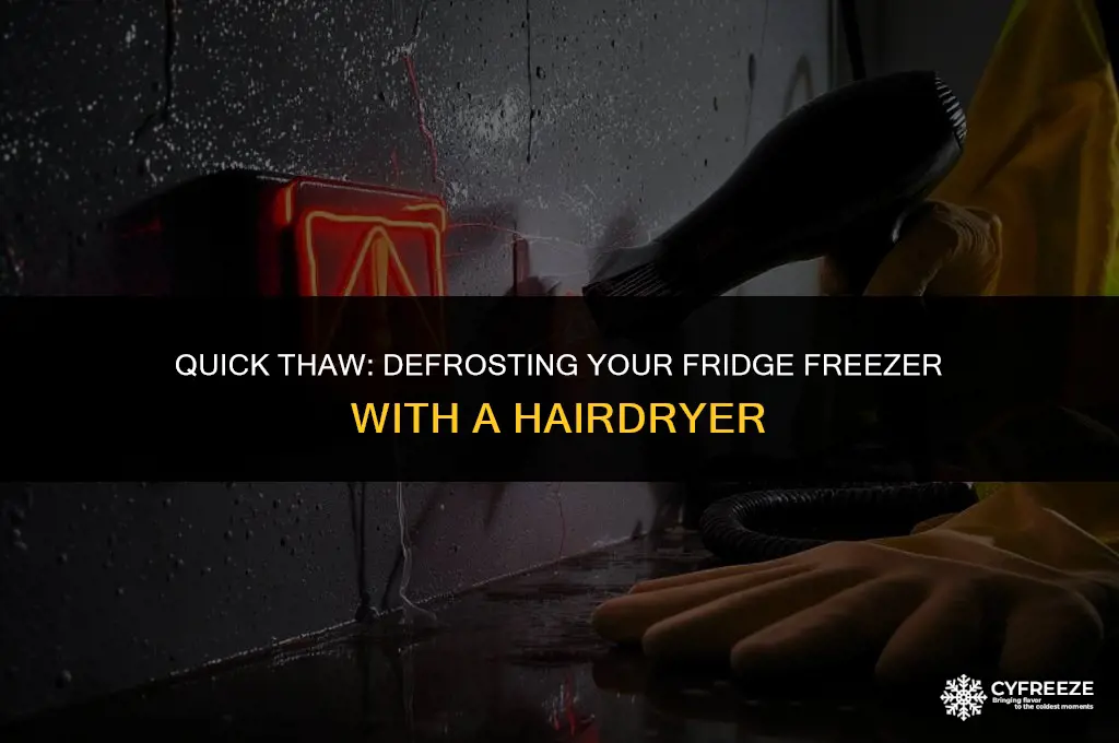 how to defrost fridge freezer with hairdryer