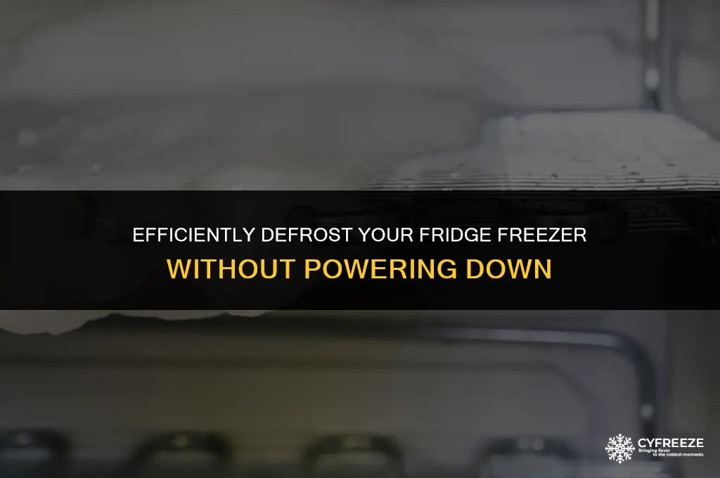 how to defrost fridge freezer without turning it off