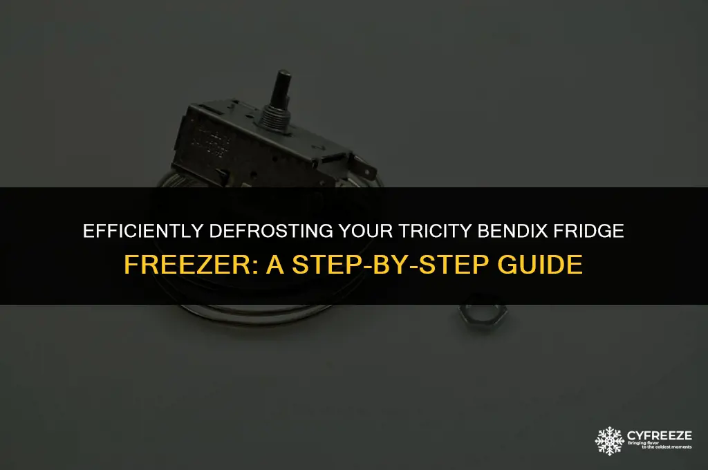 how to defrost tricity bendix fridge freezer