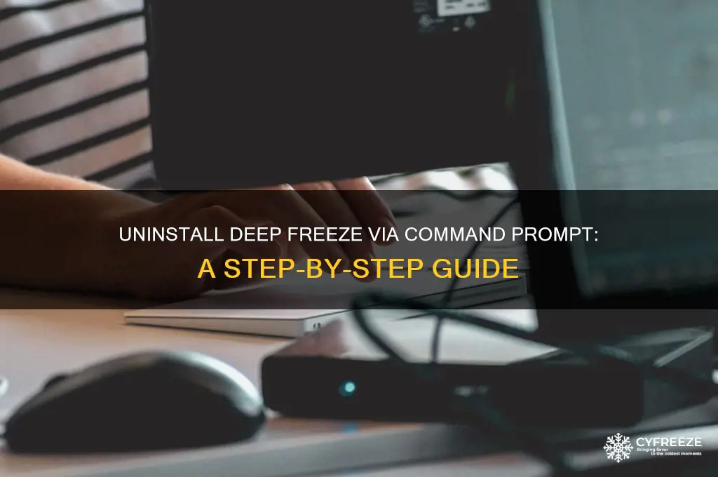 how to delete deep freeze using cmd