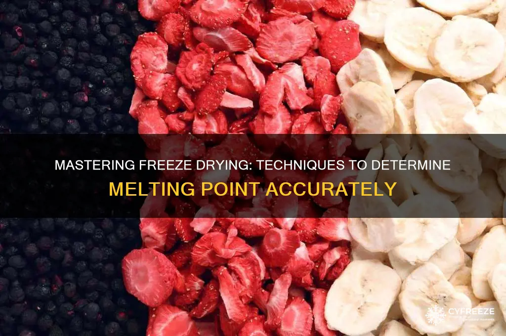 how to determin the melting point in a freeze dryer