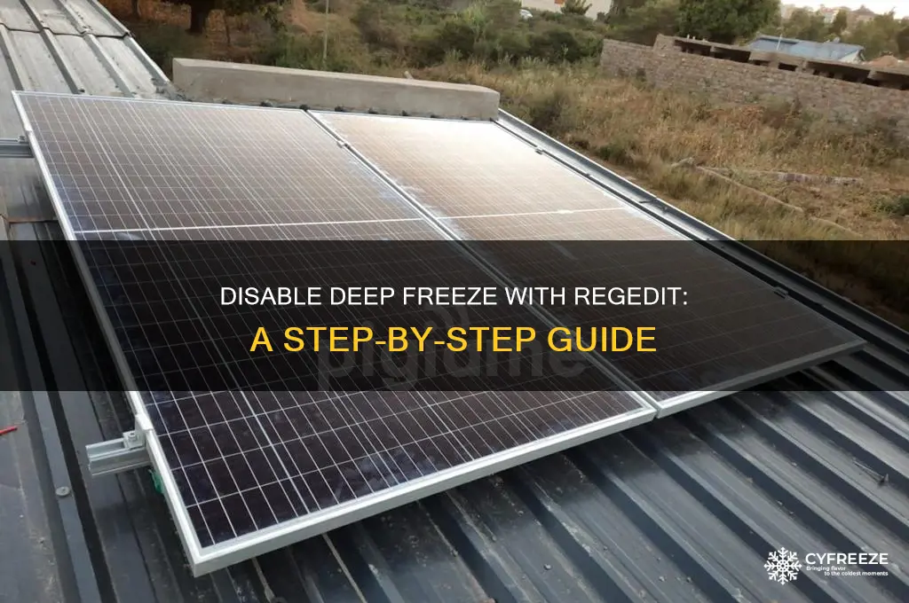 how to disable deep freeze using regedit