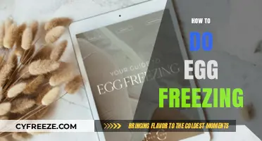 Preserving Fertility: A Comprehensive Guide to Egg Freezing