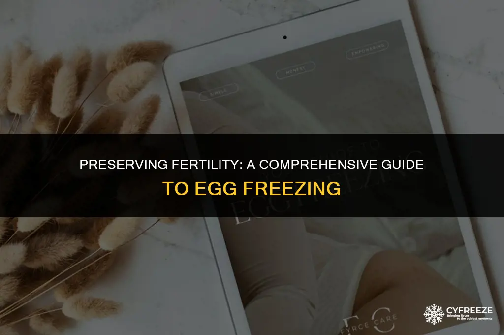 how to do egg freezing