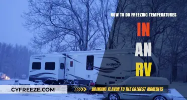 Surviving RV Winters: Essential Tips for Freezing Temperatures