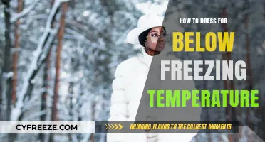 Stay Warm in Style: Dressing for Below-Freezing Temperatures