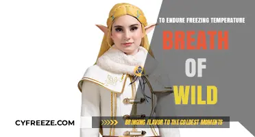 Survive Hyrule's Chill: Tips for Enduring Freezing Temperatures in Breath of the Wild