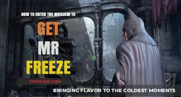 Mastering the Museum: A Guide to Finding Mr. Freeze Inside