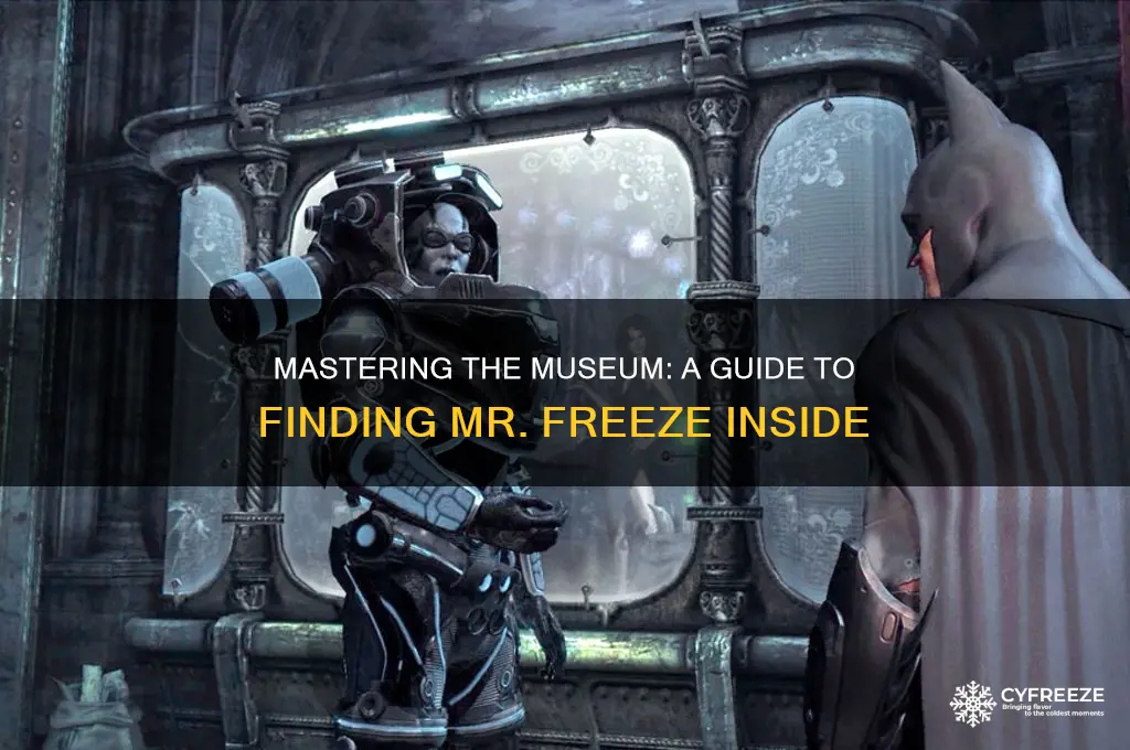 how to enter tbe musuem to get mr freeze