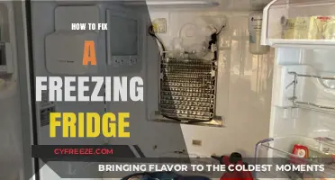 Chill Solutions: Troubleshooting Your Freezing Fridge Dilemma